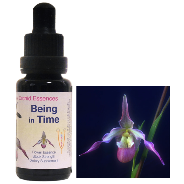 ビーイングインタイム