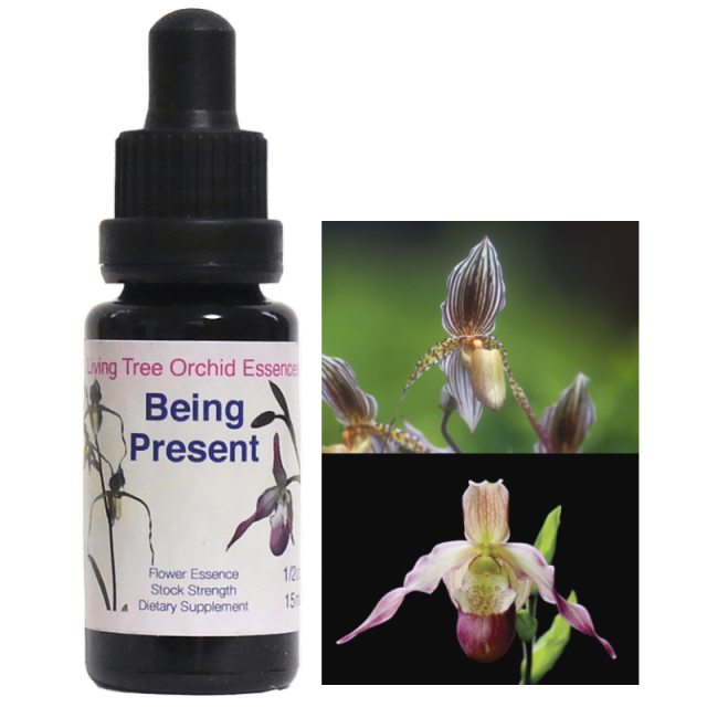 ビーイングプレゼント