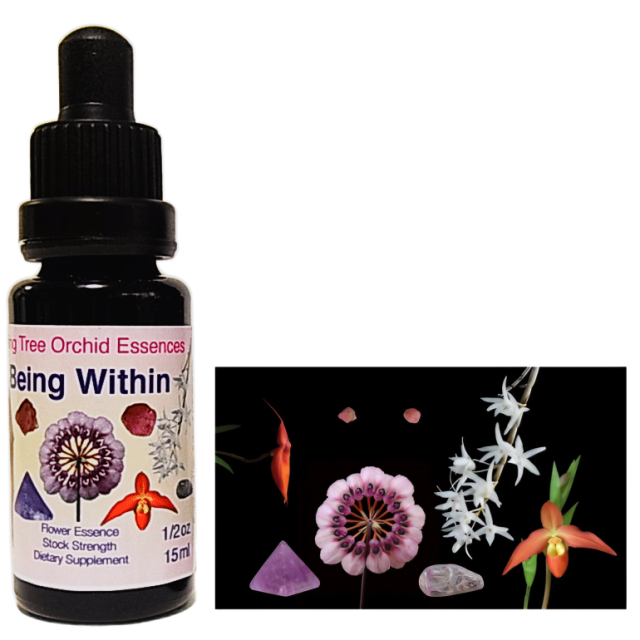 蘭のフラワーエッセンス レア】蘭のフラワーエッセンス―そのエネルギー
