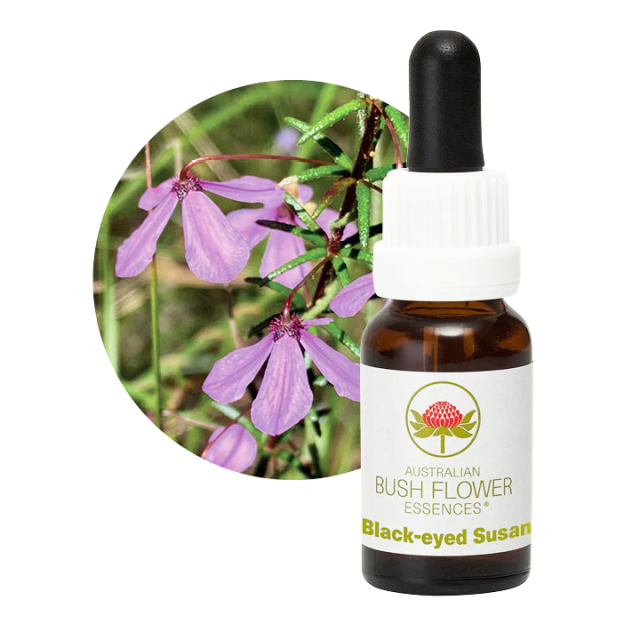 マクロカーパ オーストラリアンブッシュフラワー シングル 世界