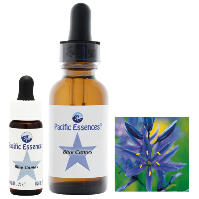 パシフィックエッセンス フラワーエッセンス キット1