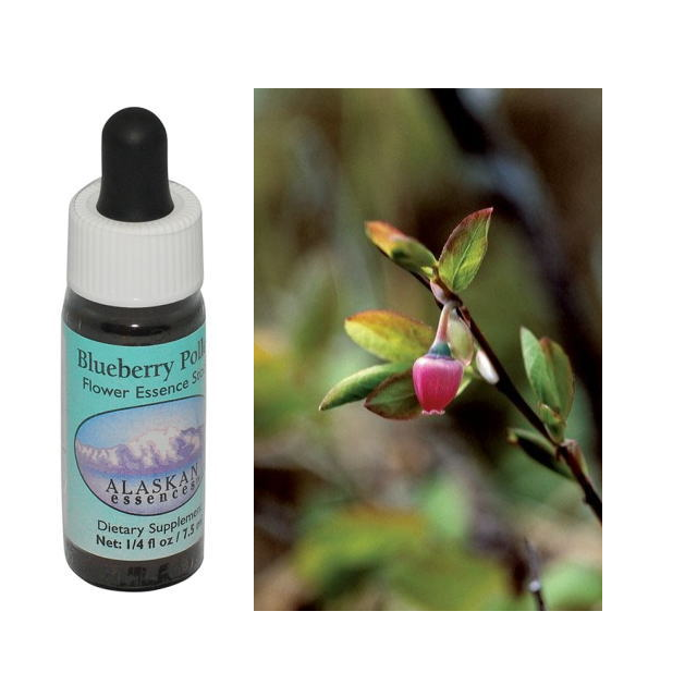 ブルーベリーポルン