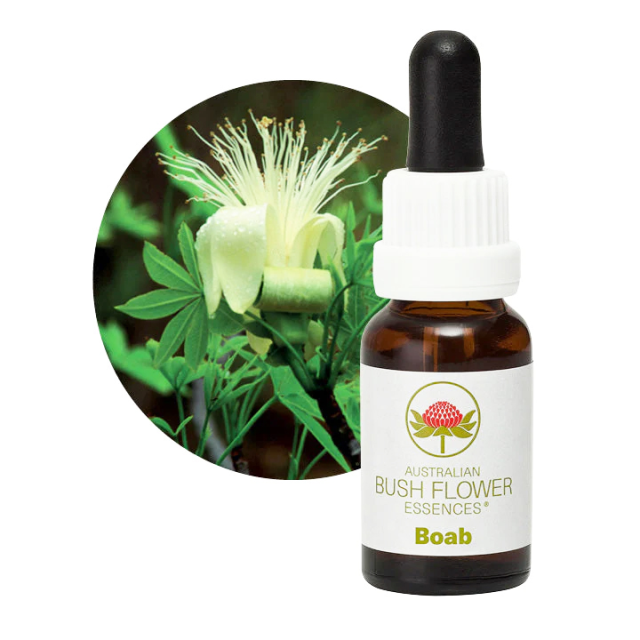 【専用】マウンテンデビル オーストラリアンブッシュ　フラワーエッセンス 楽天市場】マウンテンデビル《オーストラリアンブッシュ