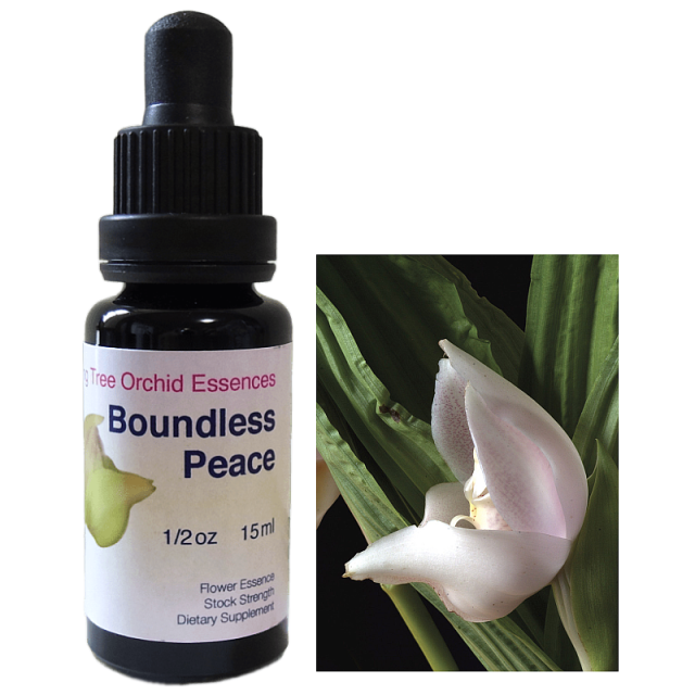 バウンダレスピース