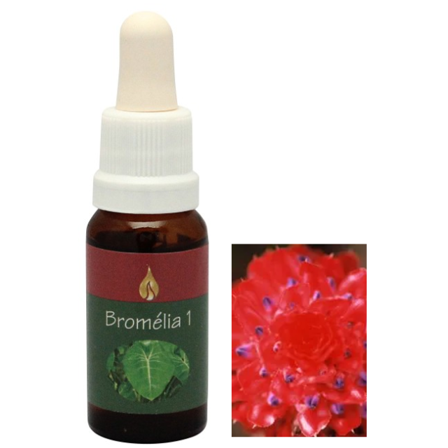 【予約品】ダイレクション『目的』アラレタマレインフォレスト　フラワーエッセンス マモア アラレタマ・レインフォレストエッセンス