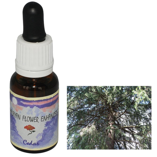 ヒマラヤンエンハンサーズ チャクラキット チャクラキット全8本セット ヒマラヤンエンハンサーズ チャクラ