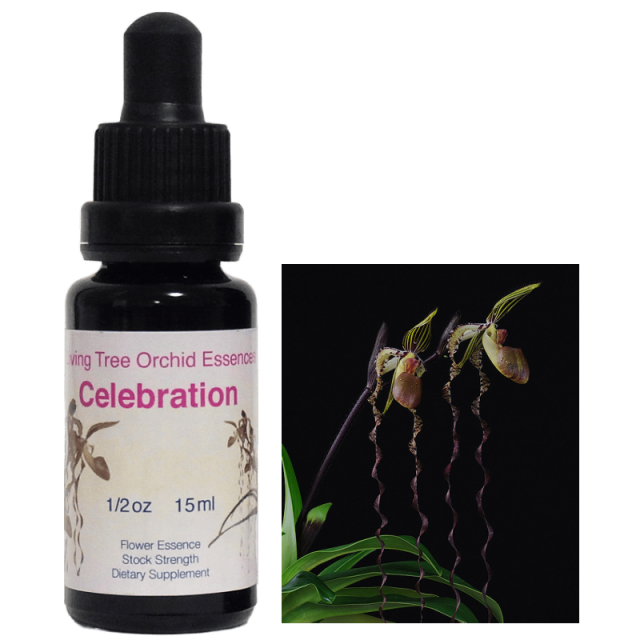 セレブレイション