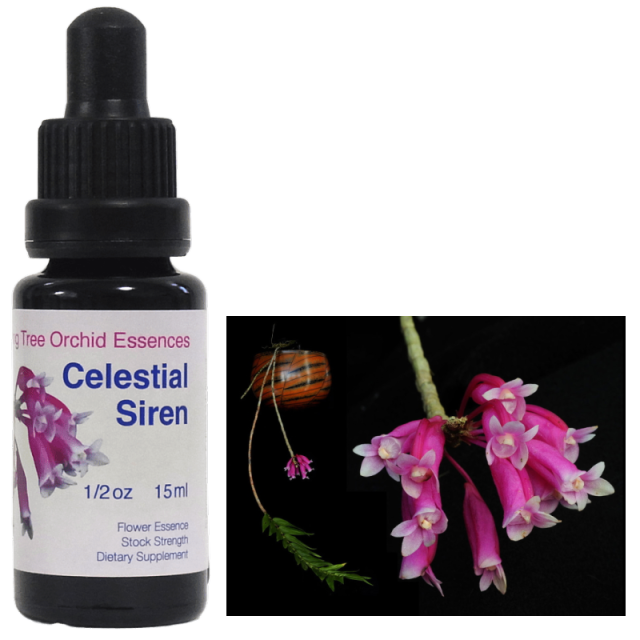 セレスティアルサイレン