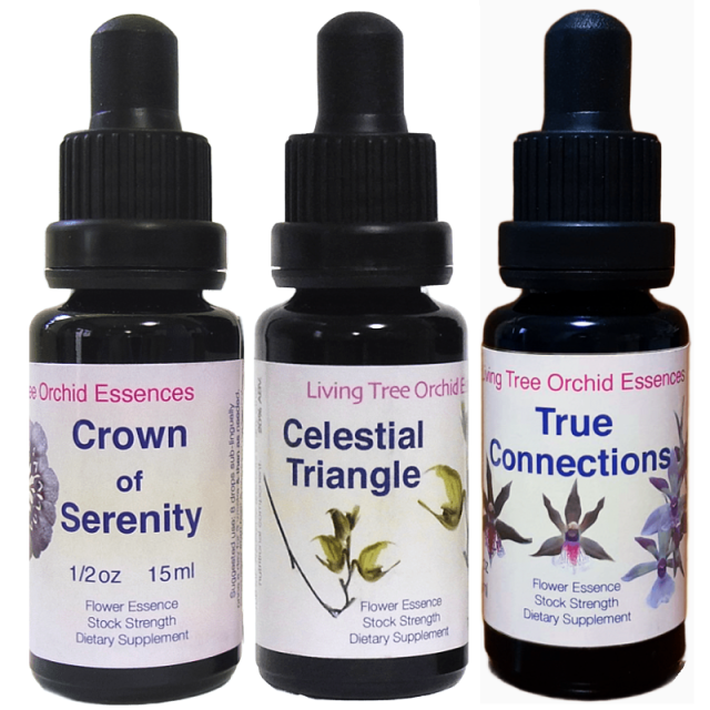 セレスティアルトリオ