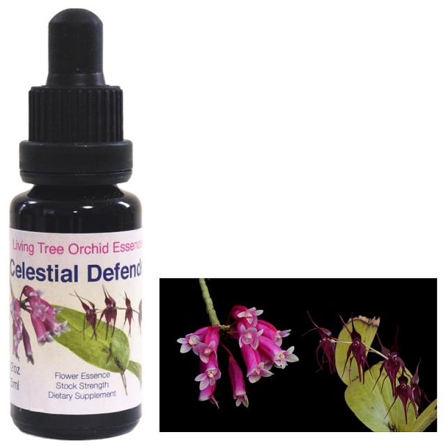 セレスティアルディフェンダー ネガティブエネルギーから頭部を