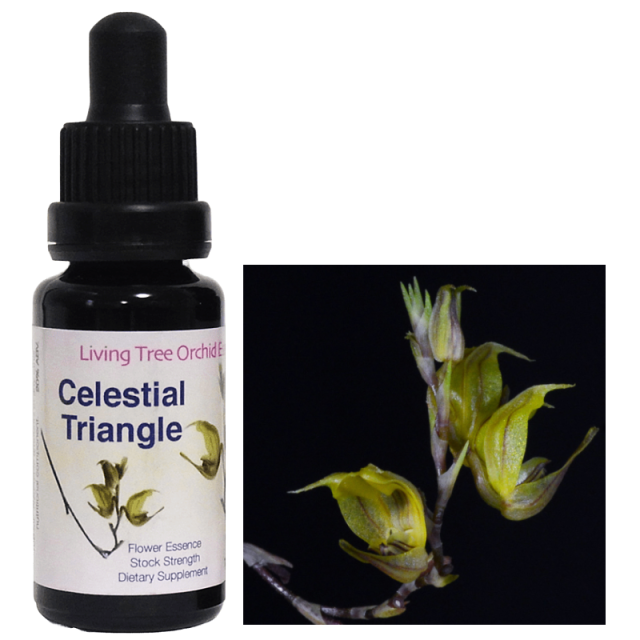 セレスティアルトライアングル