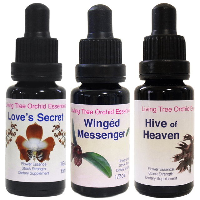 蘭のフラワーエッセンス―そのエネルギーと癒し リビングトゥリー
