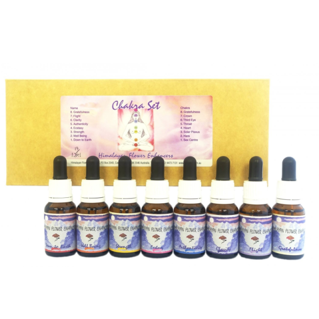 インディゴエッセンス・コンビネーション12本キット 送料当店負担 お得