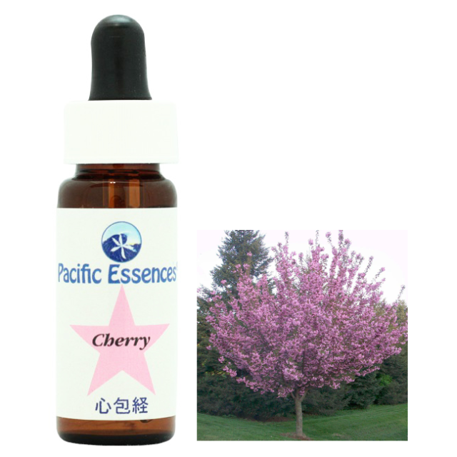 ブッシュフラワーエッセンス入り 「サイキックプロテクション