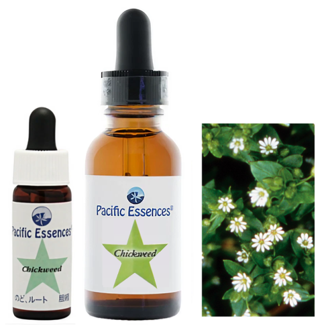 【専用】エターナルラブ『永遠の愛』3本ラブズアルケミー　フラワーエッセンス 専用】エターナルラブ『永遠の愛』3本ラブズアルケミー