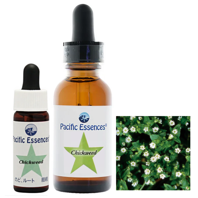 チックウィード