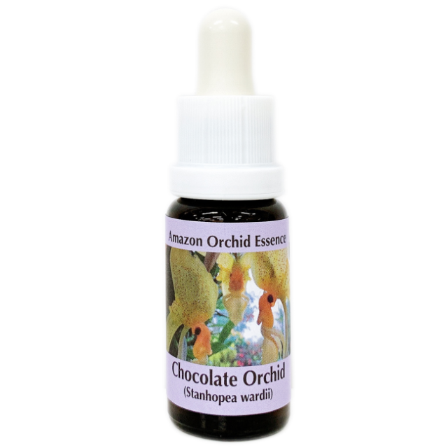 チョコレートオーキッド