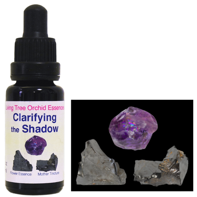 クラリファイングザシャドー