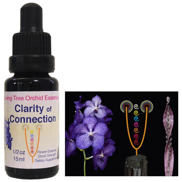 【予約品】キッズスタッフ『子供時代のトラウマ』 パシフィックフラワーエッセンス キッズスタッフ（子供時代のトラウマ）《パシフィックエッセンス》25ml