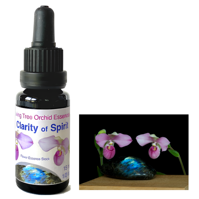 専用】#237クリアリングリピーティングメモリー　フラワーエッセンス　他 クリアリング リピーティング メモリー[Clearing Repeating