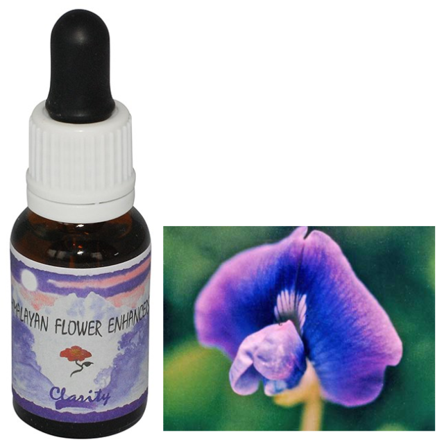 ヒマラヤンエンハンサーズ チャクラキット ストリングス ヒマラヤンエンハンサーズ チャクラキット