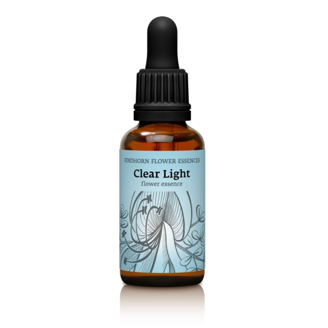 マウンテンデビル オーストラリアンブッシュフラワー シングル