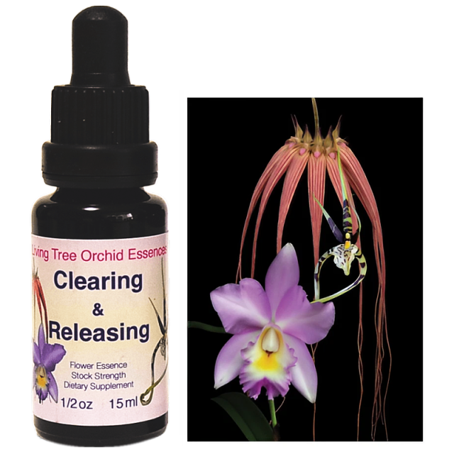 エネルギーのクレンジングに クリアリング＆リリーシング リビング