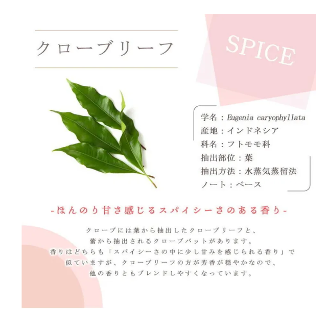 クローブリーフ5ml