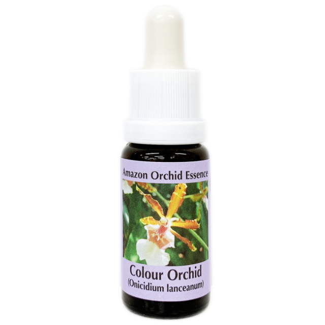 カラーオーキッド