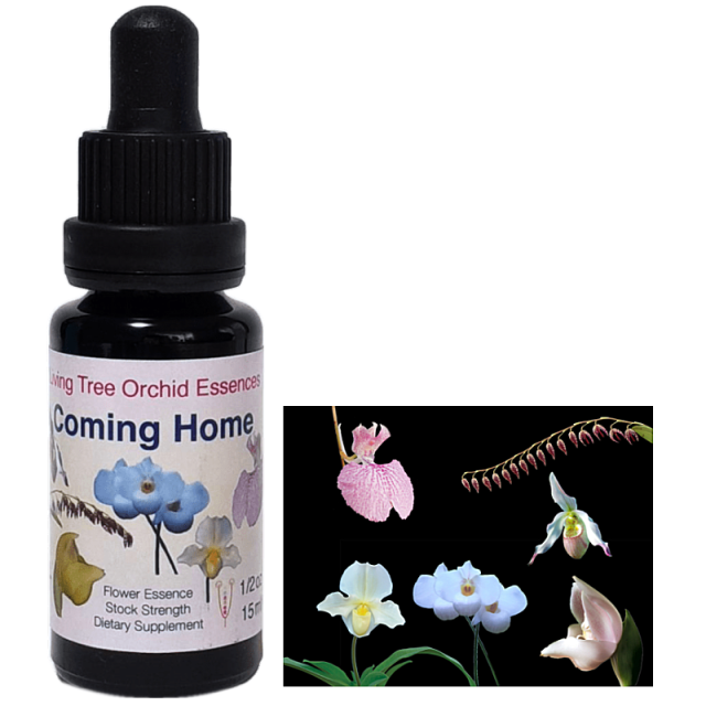 カミングホーム