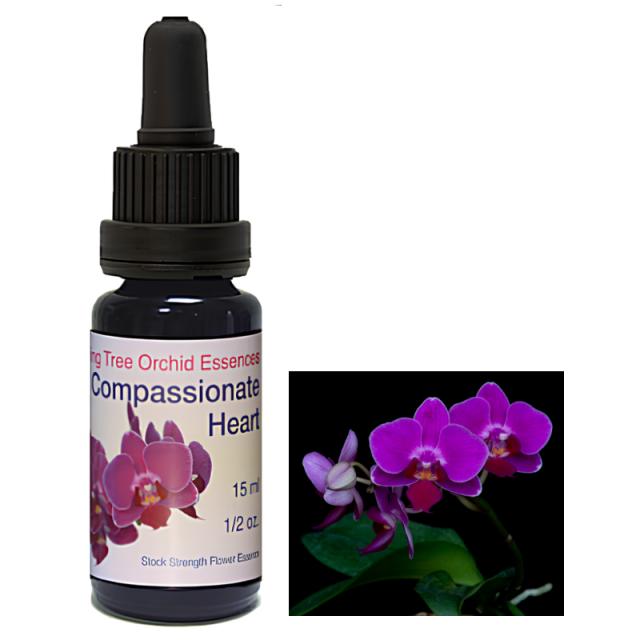 メディテーション オーストラリアン・ブッシュフラワーエッセンス