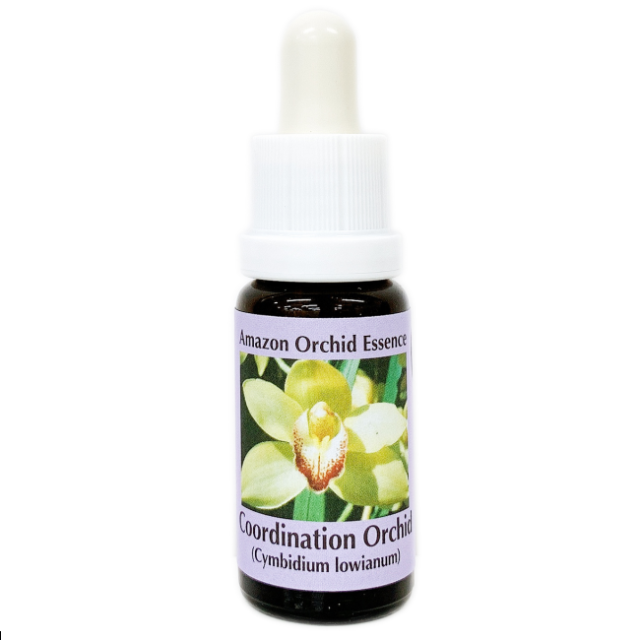 コーディネーションオーキッド