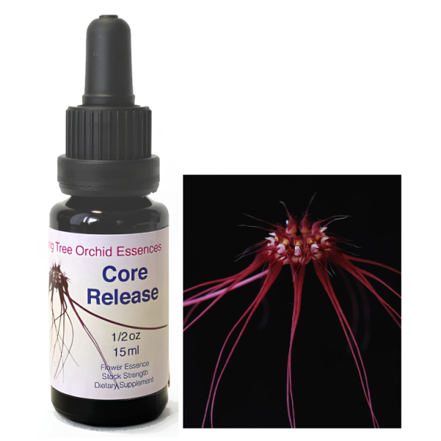 ベルーガエッセンス入りペンダント ベルーガペンダント コルテ