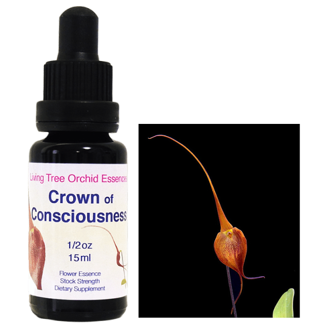 クラウンオブコンシャスネス