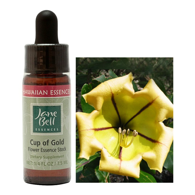 【予約品】仙酔島～ 軽やかに生まれ変わる　ヒマラヤン フラワーエッセンス 予約品】仙酔島～ 軽やかに生まれ変わる ヒマラヤン