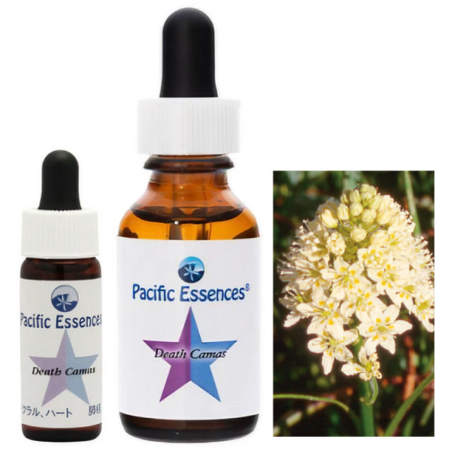 デスカマス パシフィック フラワーエッセンス 世界の