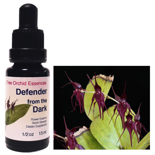 ヒマラヤンエンハンサーズ チャクラキット チャクラキット全8本 | ブランド一覧,ヒマラヤンフラワー