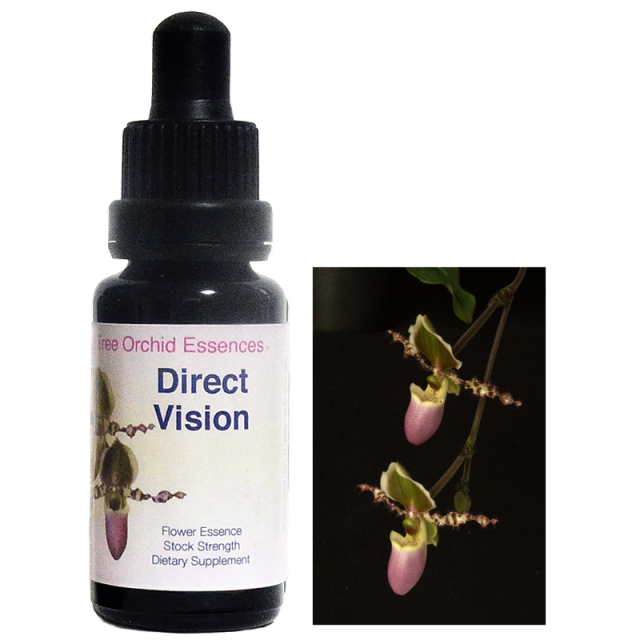 ディレクトビジョン