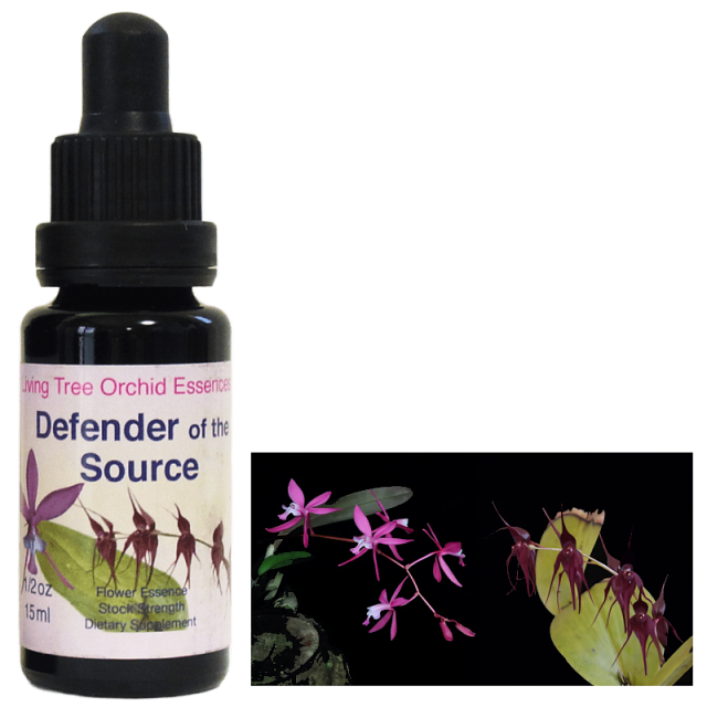 ディフェンダーオブザソース