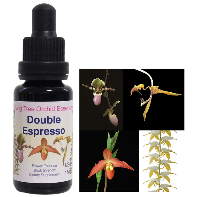 ダブルエスプレッソ