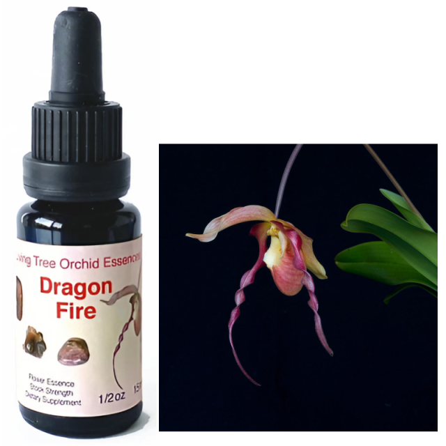 パーパスアンドデスティニーブレンド パワーオブフラワーヒーリング パワーオブフラワーヒーリング パーパスアンドデスティニー