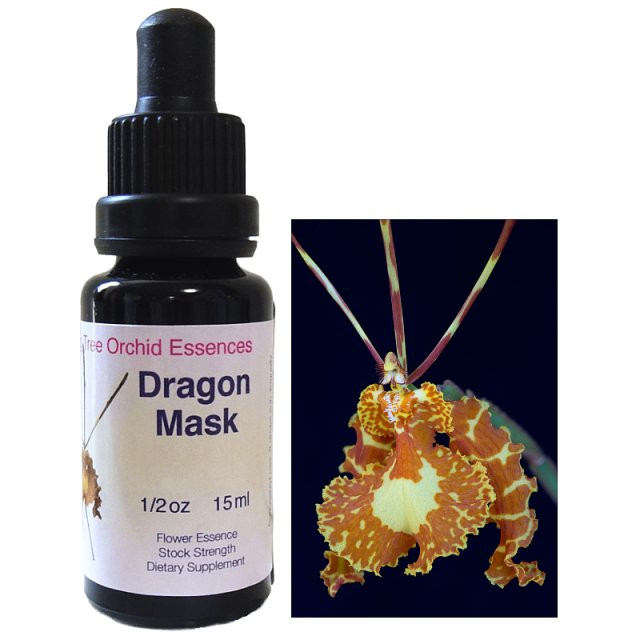 ストリングス ヒマラヤンエンハンサーズ チャクラキット