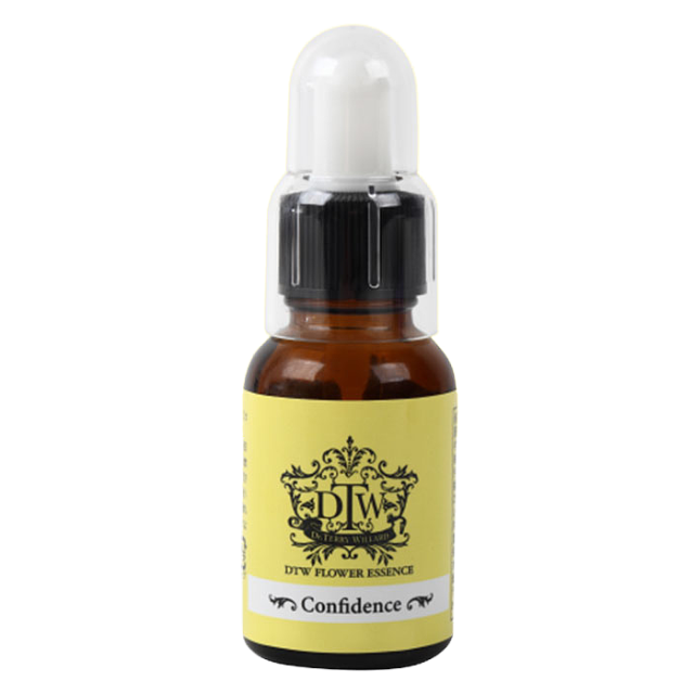 コンフィデンス