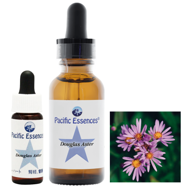 キット6 フラワーエッセンスとスピリチュアルアイテムの通販