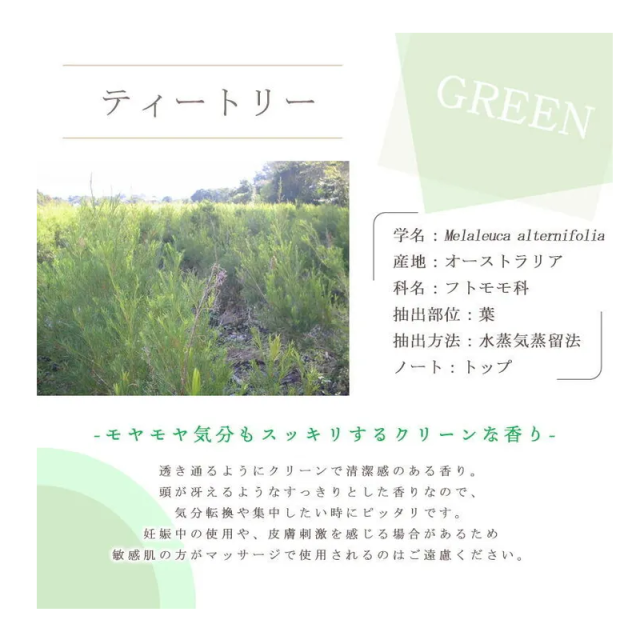 ティートリー（ティーツリー）について