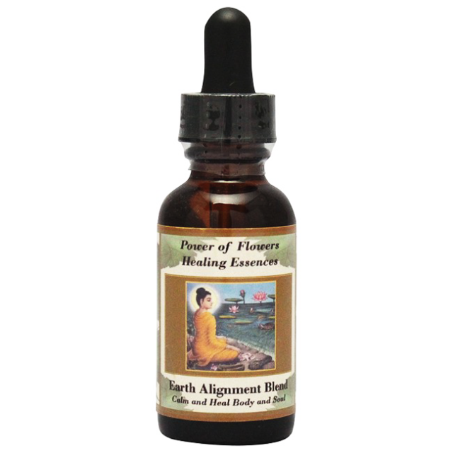 アースアライメント