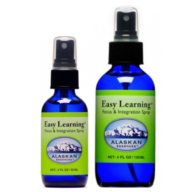 イージーラーニングスプレー