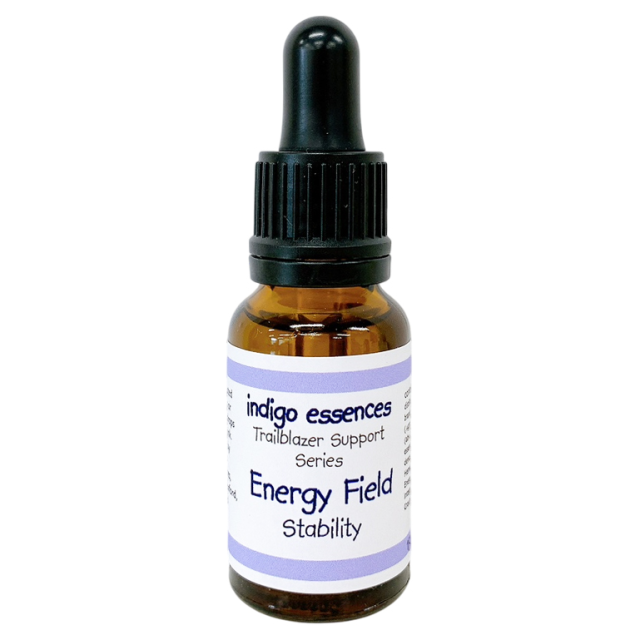 3.エネルギーフィールドスタビリティー