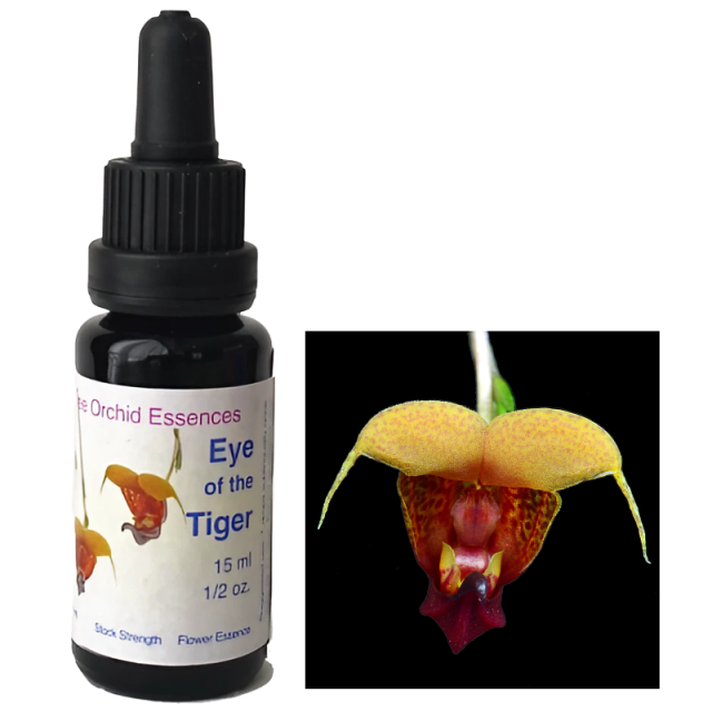 ネイチャーズウィッシュ リリース フラワーエッセンス 【ベルチェレスタ】