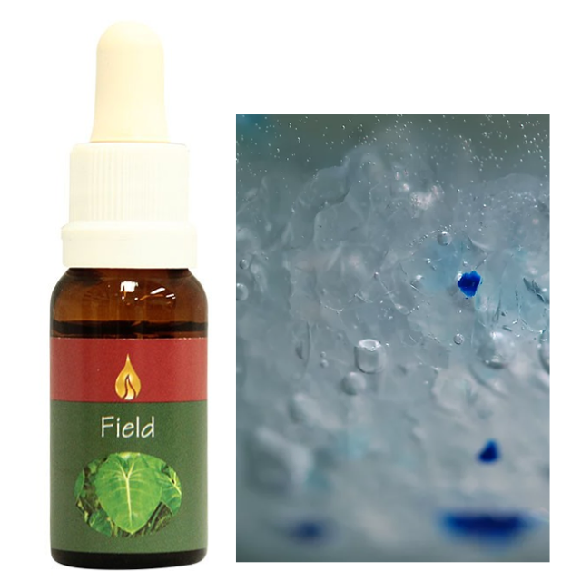 モンクスフード アラスカンエッセンス フラワーエッセンス 【ベル